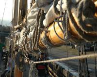 hms_pickle_rigging_big.jpg